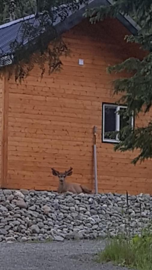 Golden Spot Villa Clearwater Kültér fotó